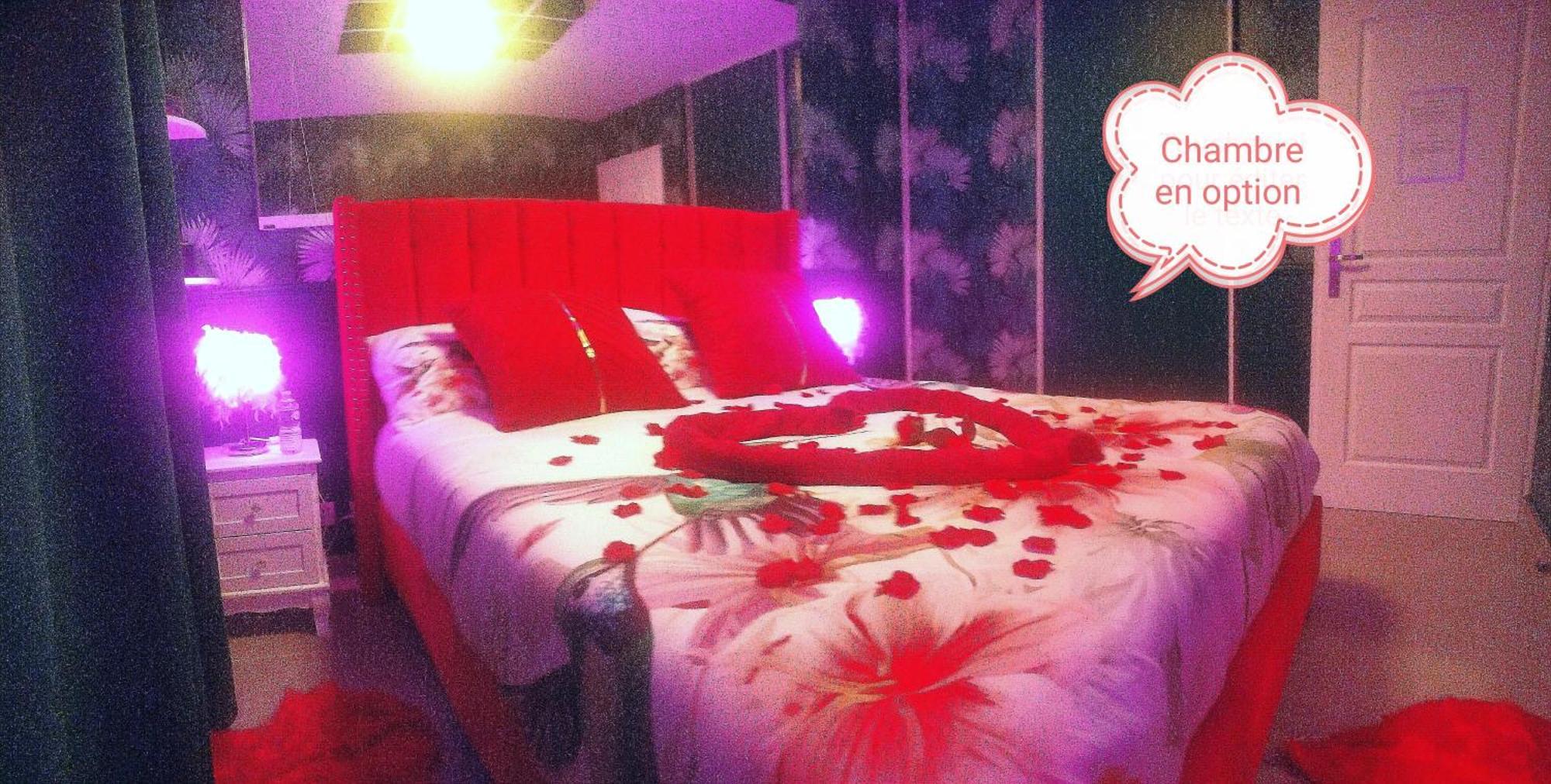 Romantisme Et Glamour 2 Avec Spa , Clim Et Jardin Dijon Exterior photo